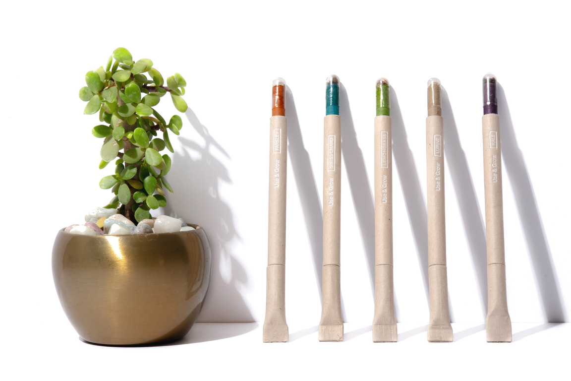 Plantable Plain Pen with Color end